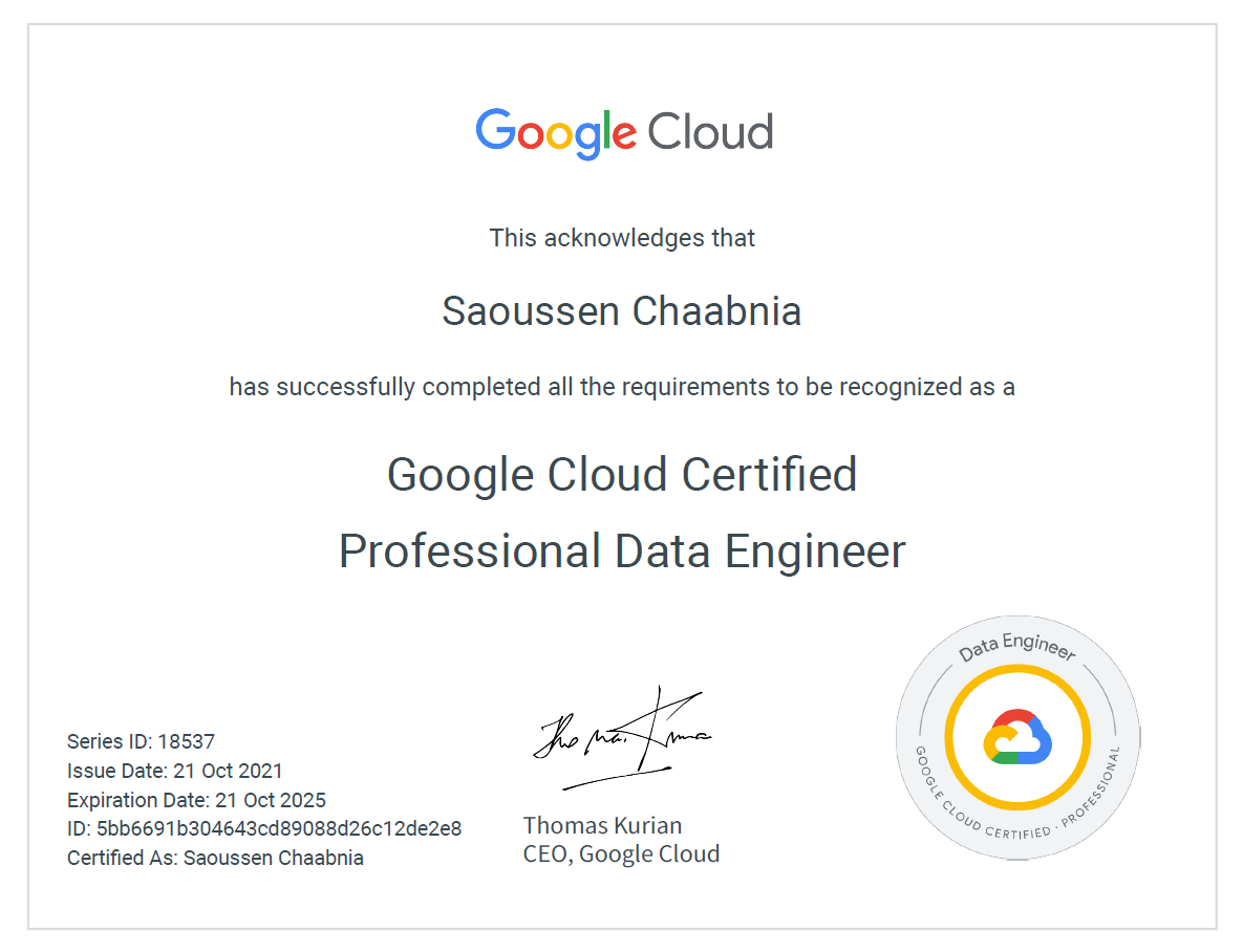 Sample Professional Data Engineer certification document supplied as a visual reference
